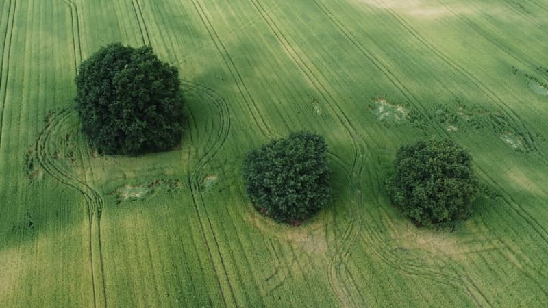 Comment trouver un terrain constructible en Seine-Maritime ?