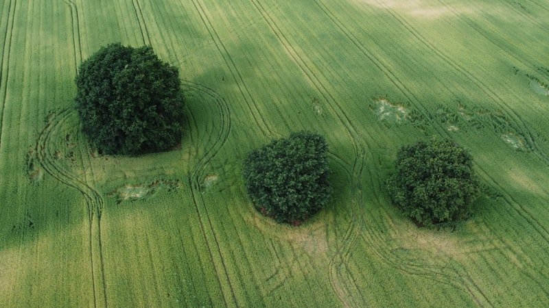 Comment trouver un terrain constructible en Seine-Maritime ?
